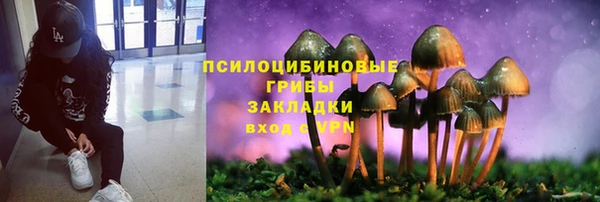 амфетамин Алексин