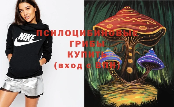 амфетамин Алексин