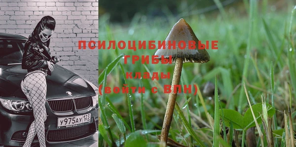 мет Алексеевка