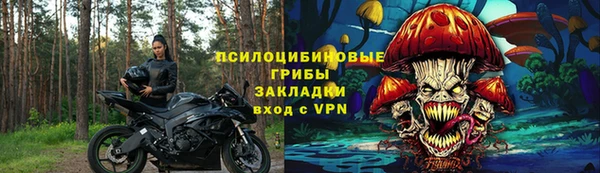 мяу мяу мука Абаза